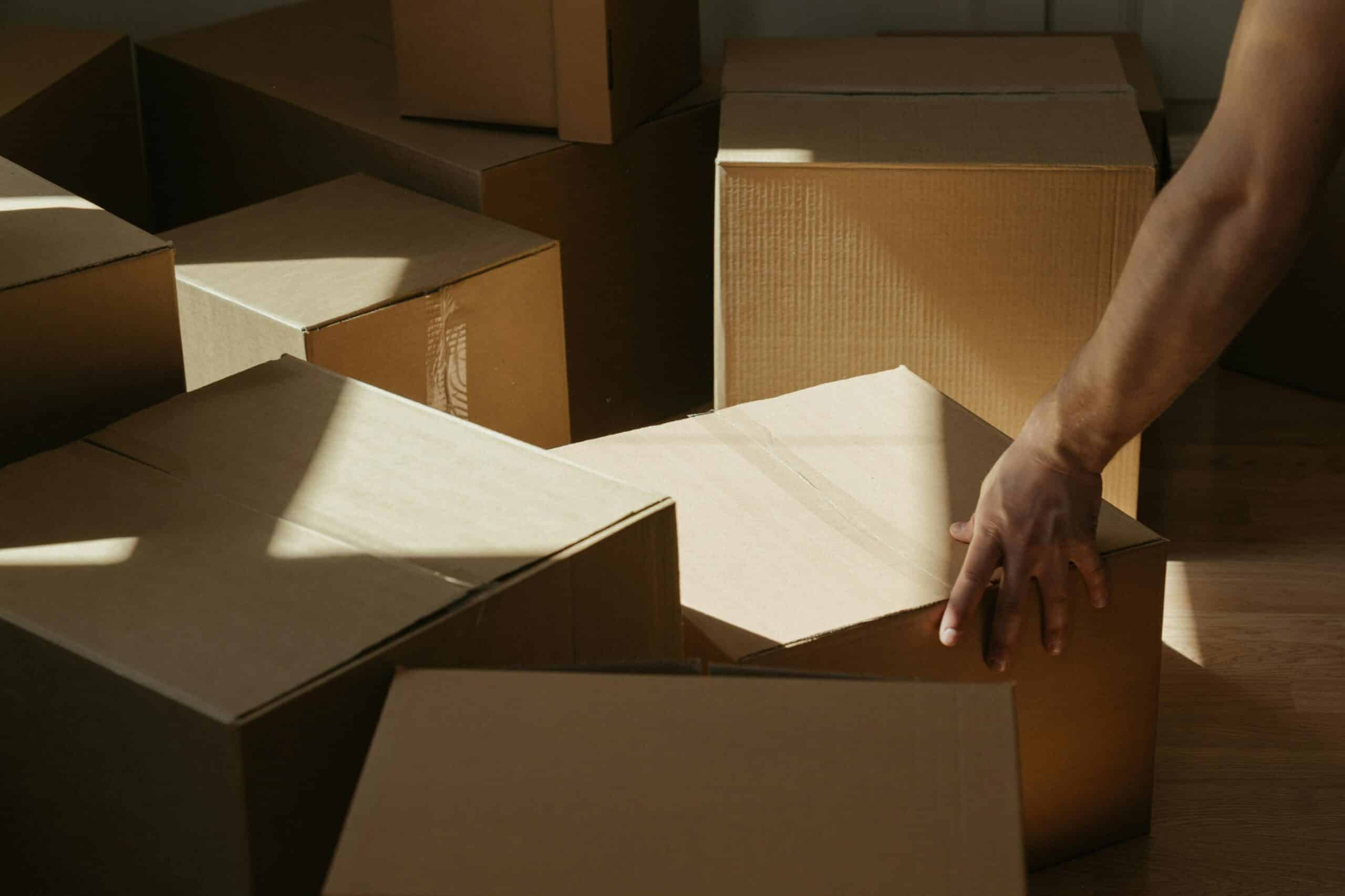 Move-in or move-out services